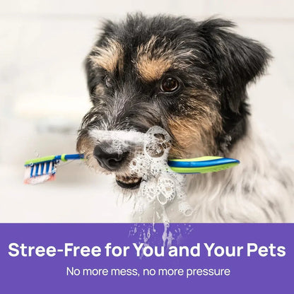 SEAGRIL® 🍃Say Goodbye to Bad Breath & Plaque — Without Brushing