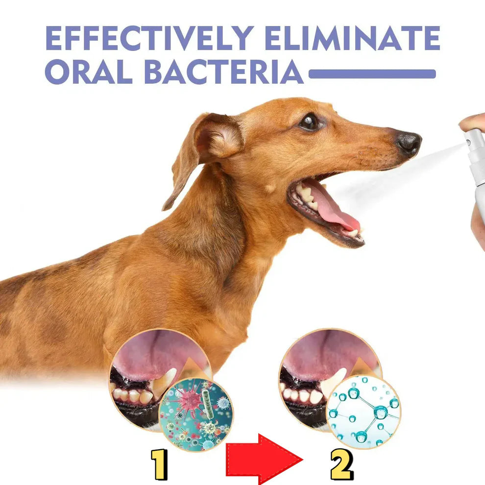 SEAGRIL® 🍃Say Goodbye to Bad Breath & Plaque — Without Brushing